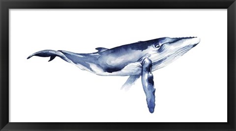 Framed Whale Portrait I Print