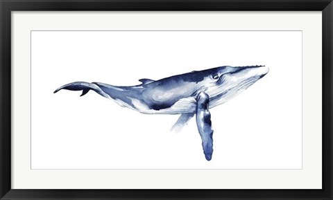 Framed Whale Portrait I Print