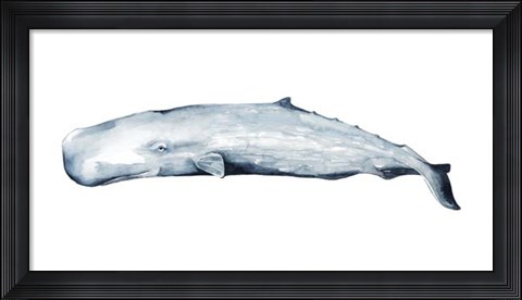 Framed Whale Portrait II Print
