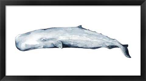 Framed Whale Portrait II Print