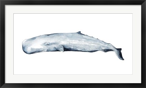 Framed Whale Portrait II Print