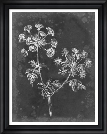 Framed Slate Floral I Print