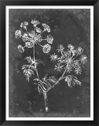 Framed Slate Floral I Print