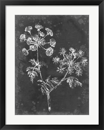 Framed Slate Floral I Print