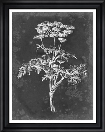 Framed Slate Floral II Print