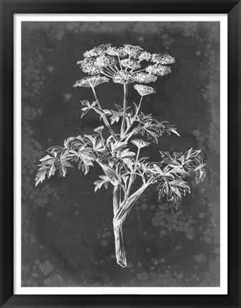 Framed Slate Floral II Print