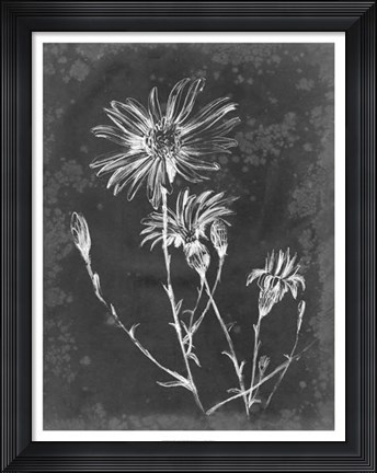 Framed Slate Floral III Print