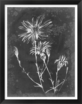 Framed Slate Floral III Print