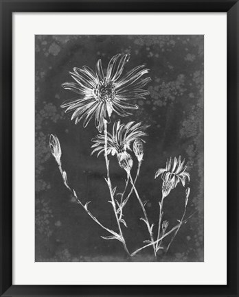 Framed Slate Floral III Print
