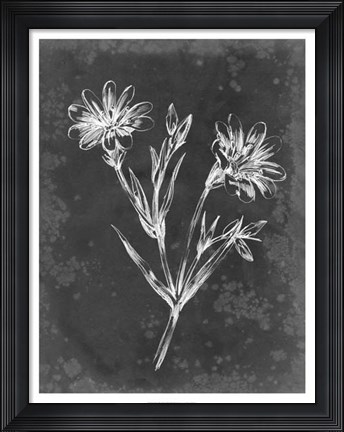 Framed Slate Floral IV Print