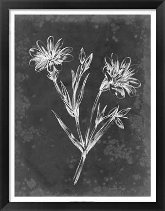 Framed Slate Floral IV Print