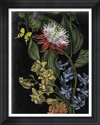 Framed Dark Floral III Print