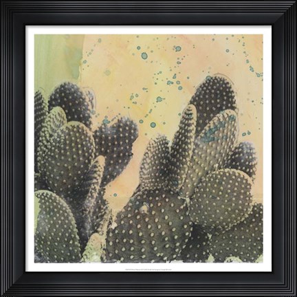 Framed Desert Dreams II Print