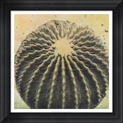 Framed Desert Dreams III Print