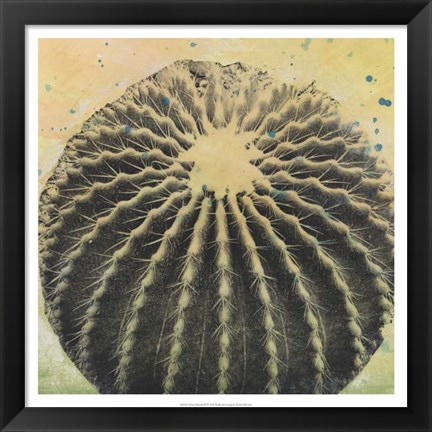 Framed Desert Dreams III Print