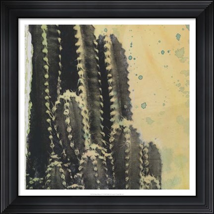 Framed Desert Dreams IV Print