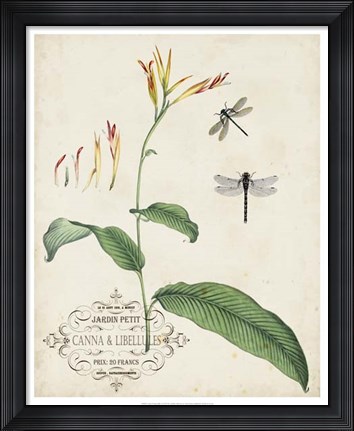 Framed Canna &amp; Dragonflies I Print