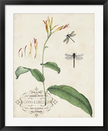 Framed Canna &amp; Dragonflies I Print