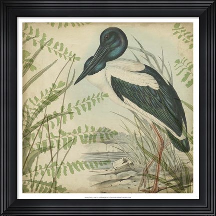 Framed Heron &amp; Ferns I Print
