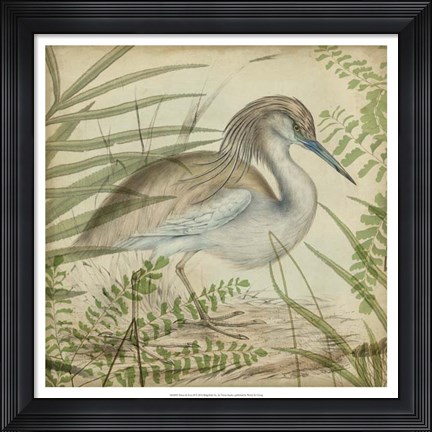 Framed Heron &amp; Ferns II Print