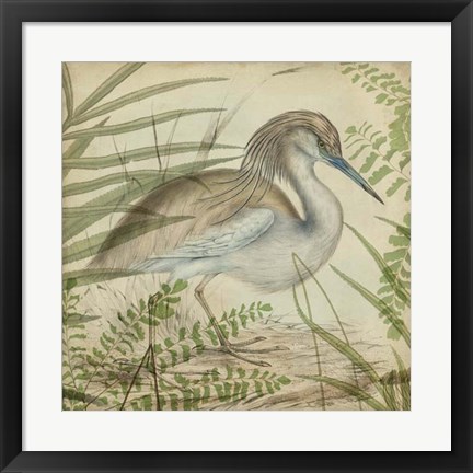 Framed Heron &amp; Ferns II Print