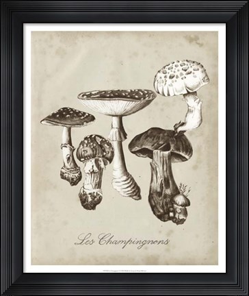 Framed Les Champignons I Print