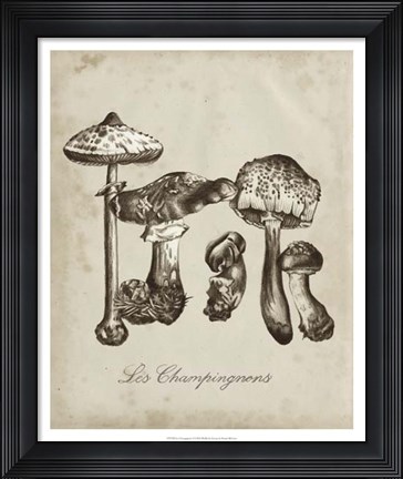 Framed Les Champignons II Print