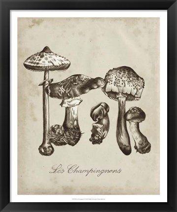 Framed Les Champignons II Print