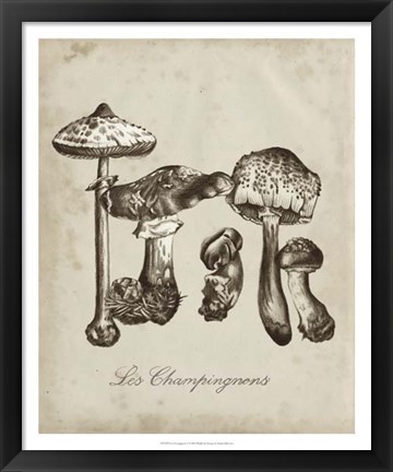 Framed Les Champignons II Print