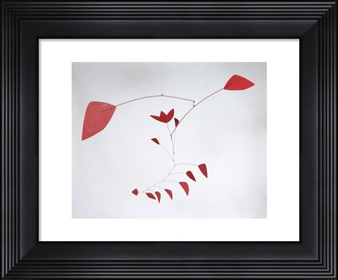 Framed Tulip, 1967 Print