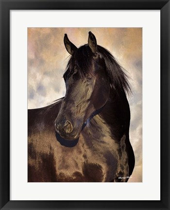 Framed TBD (black horse) Print