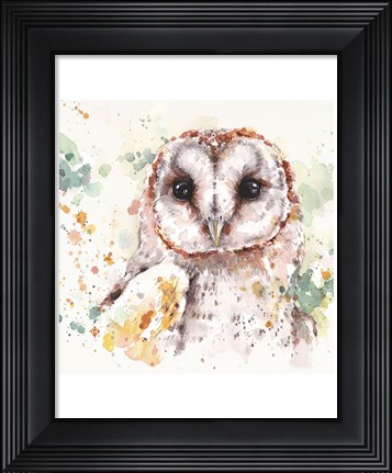 Framed Australian Barn Owl Print