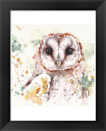 Framed Australian Barn Owl Print