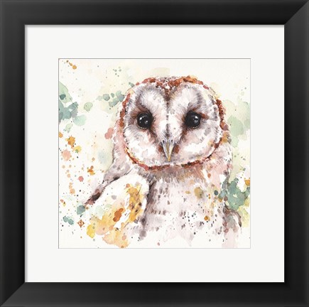 Framed Australian Barn Owl Print