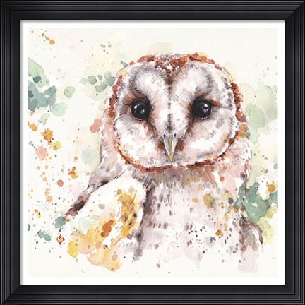 Framed Australian Barn Owl Print