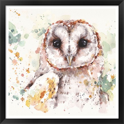 Framed Australian Barn Owl Print