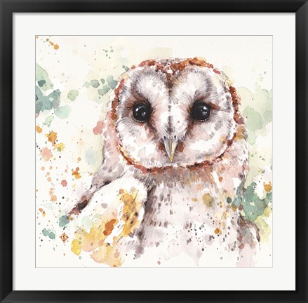 Framed Australian Barn Owl Print