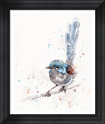 Framed Mischief in the Making (Variegated Fairy Wren) Print