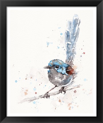 Framed Mischief in the Making (Variegated Fairy Wren) Print