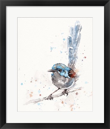 Framed Mischief in the Making (Variegated Fairy Wren) Print