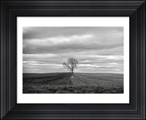Framed Half Done Print
