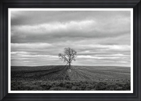 Framed Half Done Print