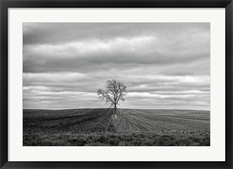 Framed Half Done Print