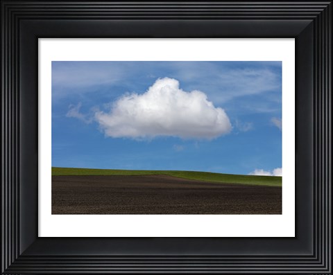 Framed Spring Cloud Print