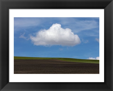 Framed Spring Cloud Print