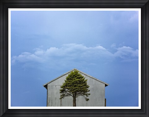 Framed Green and Blue Print