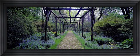 Framed Garden path, Old Westbury Gardens, Long Island Print