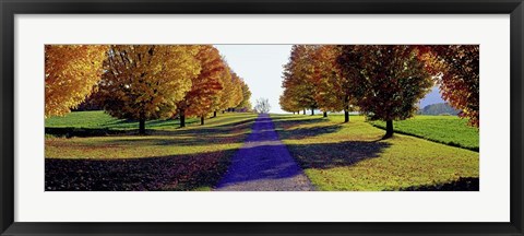 Framed Autumn Road, Storm King Mountain, New York Print