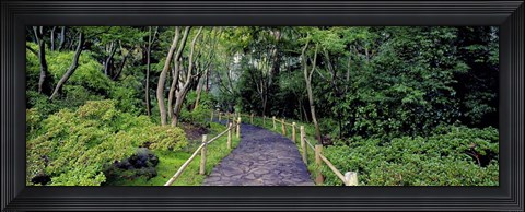 Framed Tea Garden Walkway, San Francisco Botanical Gardens Print