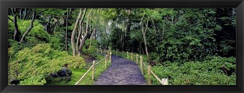 Framed Tea Garden Walkway, San Francisco Botanical Gardens Print